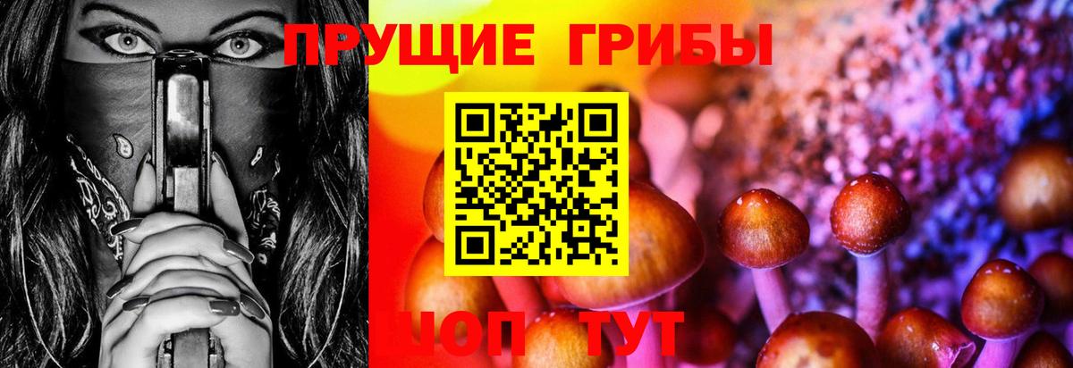 Холмск  Псилоцибиновые грибы ЛСД  Псилоцибиновые грибы мицелий  Вход с VPN 
